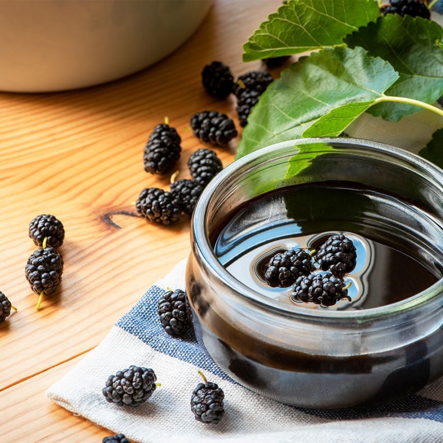 İspir Dut Pekmezi 1 KG